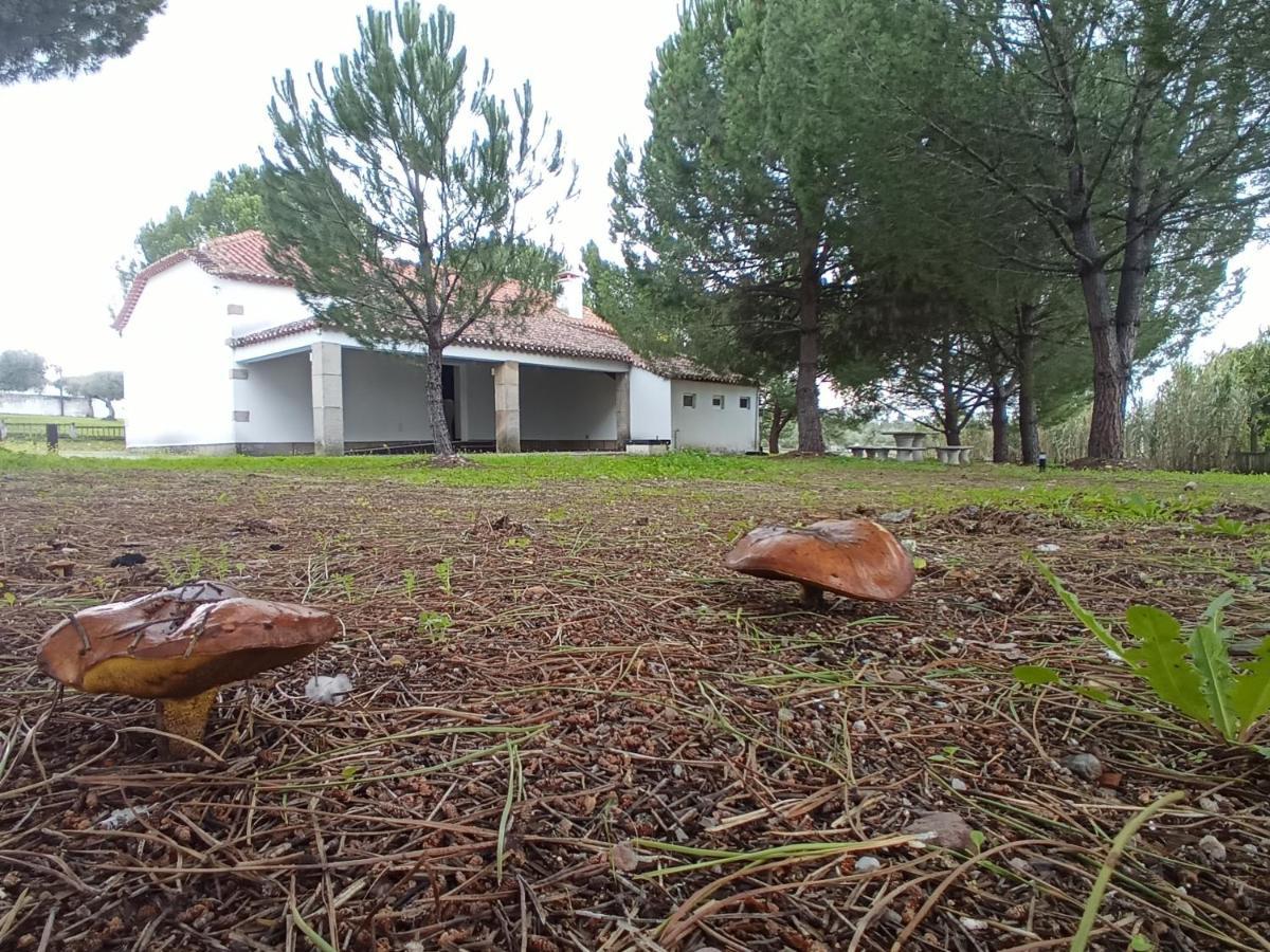 Casa De Perais Villa Dış mekan fotoğraf